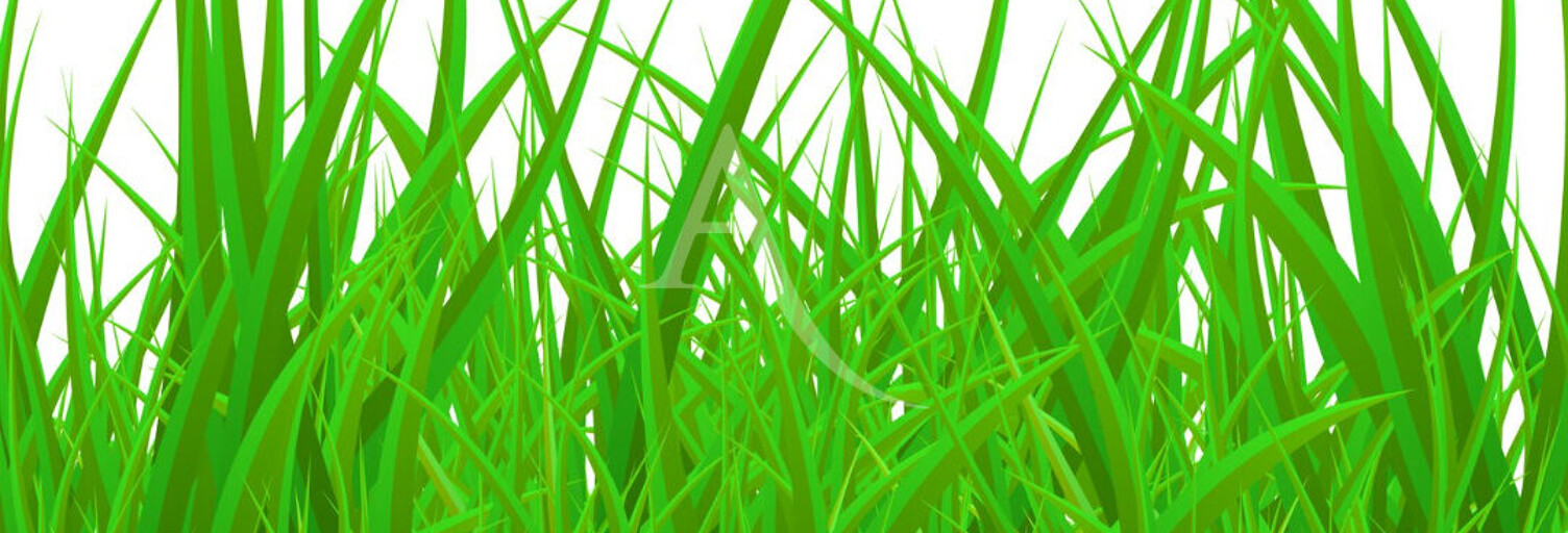 Terrain  2764 m² à vendre à Montauban (82000)