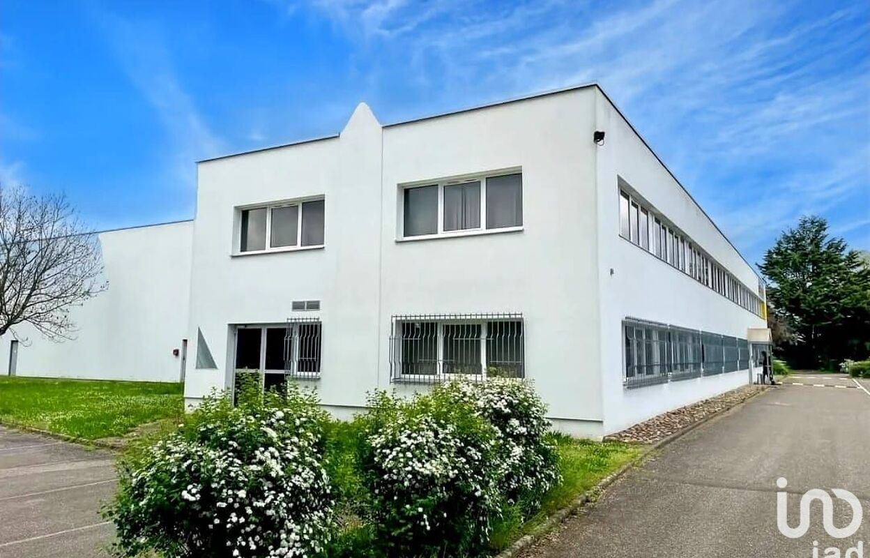 bureau  pièces 58 m2 à louer à Schiltigheim (67300)