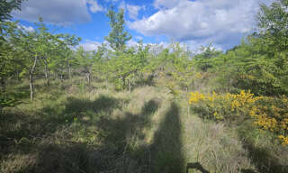 Terrain  1280 m² à vendre à Galargues (34160)