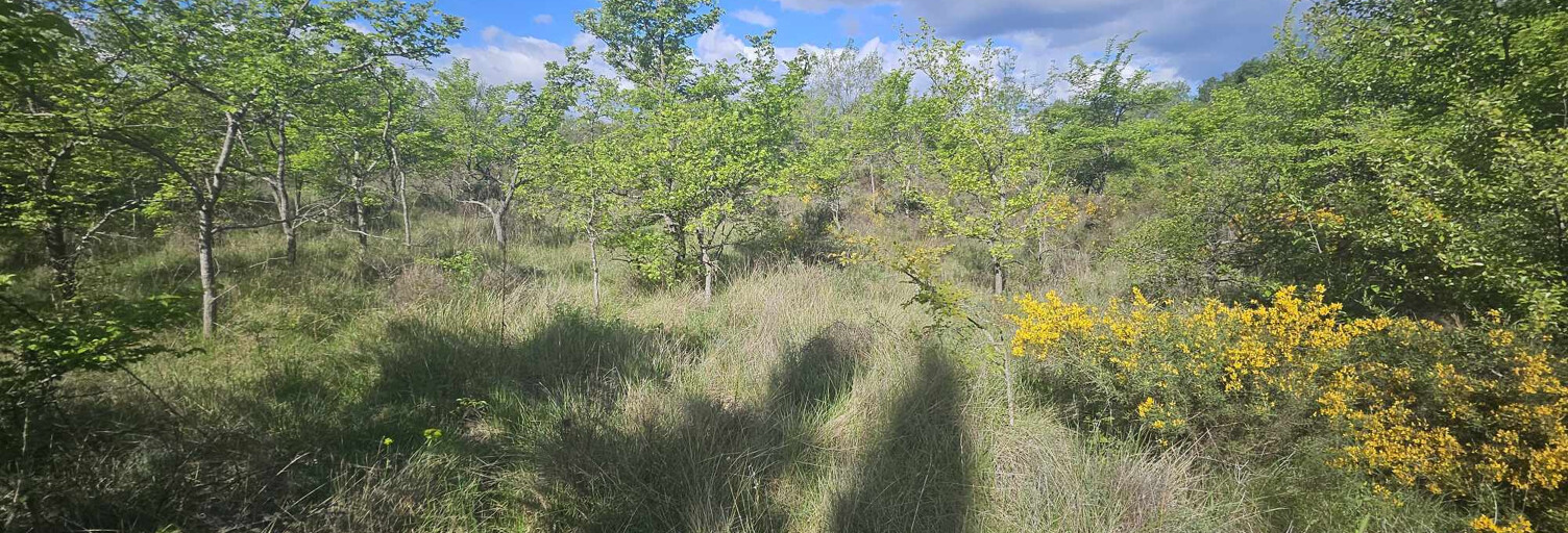 Terrain  1280 m² à vendre à Galargues (34160)