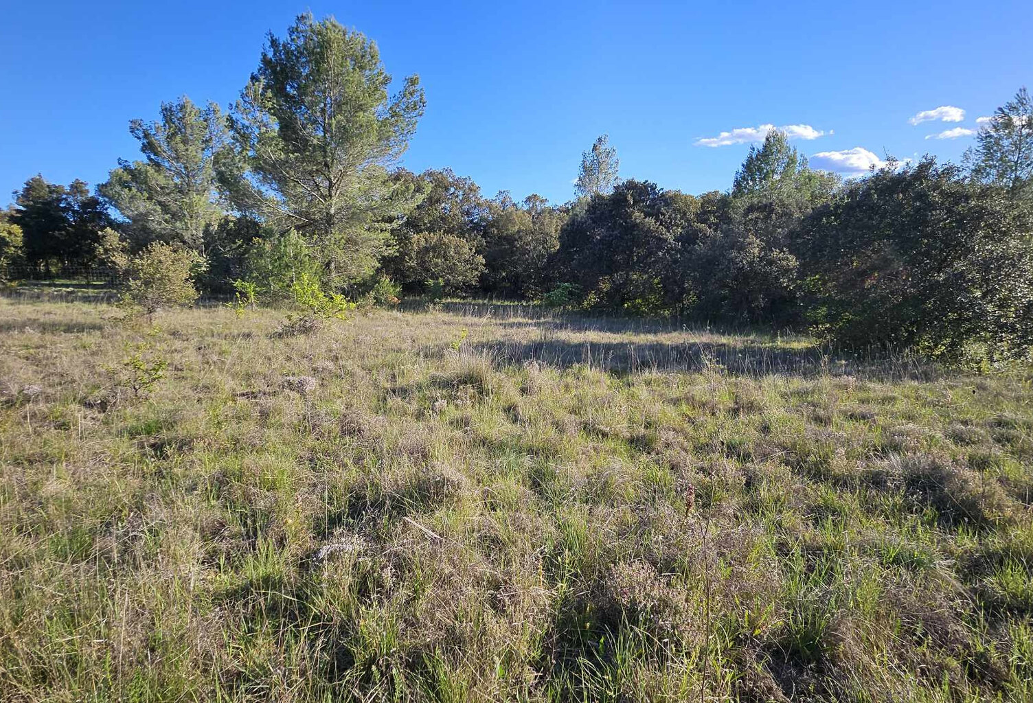 Galargues : terre agricole en vente 4000 € avec REVIMO — photo 1