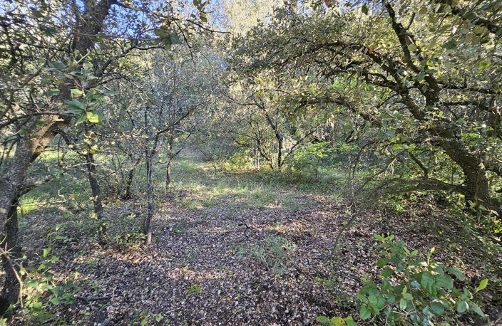 Galargues : terre agricole en vente 4000 € avec REVIMO — photo 3