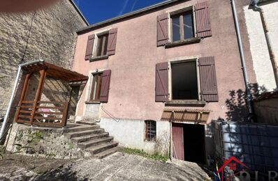 vente immeuble 64 000 € à proximité de Val-de-Meuse (52140)