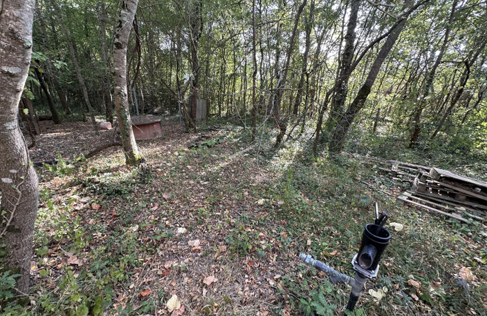 Terrain de agricole de 2,49 ha — photo 2
