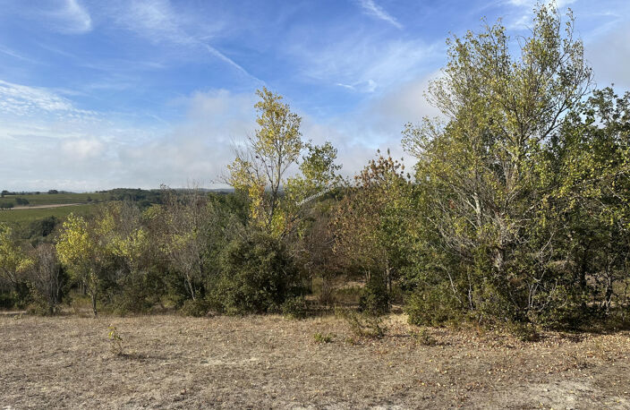 Terrain de agricole de 2,49 ha — photo 4