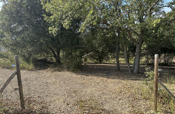 Terrain de agricole de 2,49 ha — photo 5
