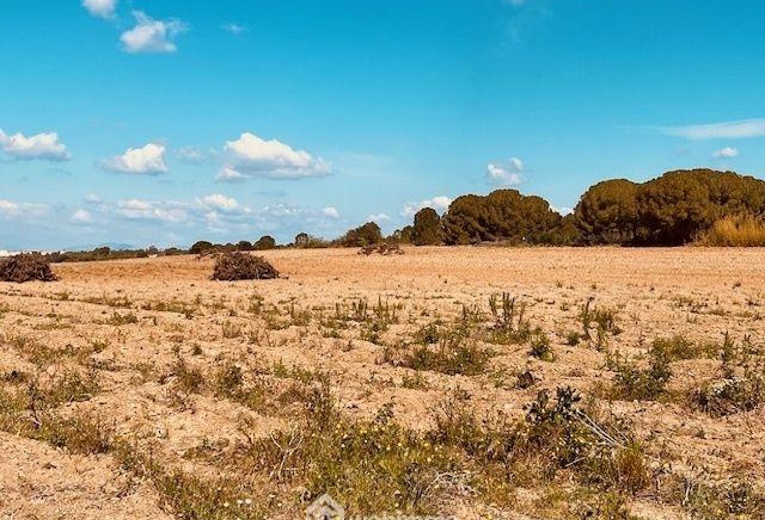 Terrain à bâtir - 1628m² - Perpignan — photo 1