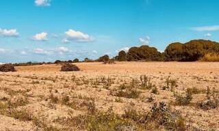 Terrain  1628 m² à vendre à Perpignan (66000)