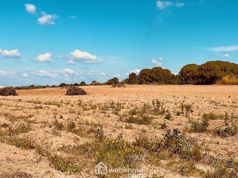 Terrain à bâtir - 1628m² - Perpignan — photo 1
