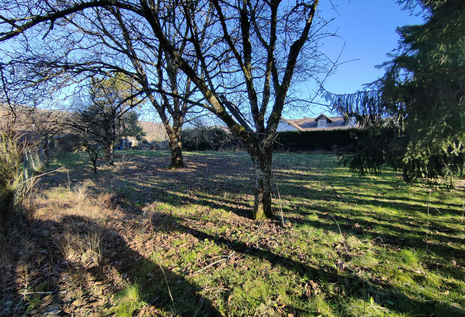 Terrain constructible — photo 1