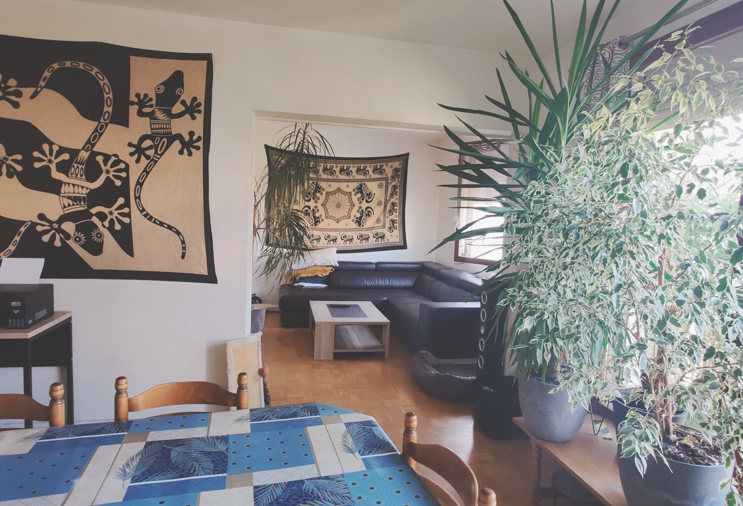 Appartement de type 3 résidence 'Les Bouleaux' — photo 1