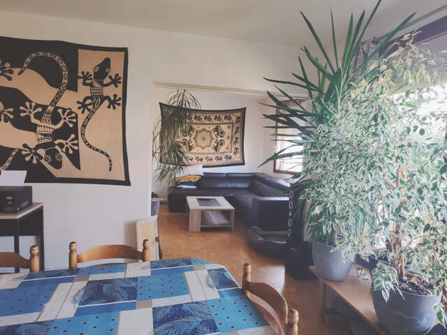 Appartement de type 3 résidence 'Les Bouleaux' — photo du bien