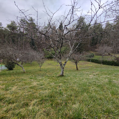 Terrain  65000 €