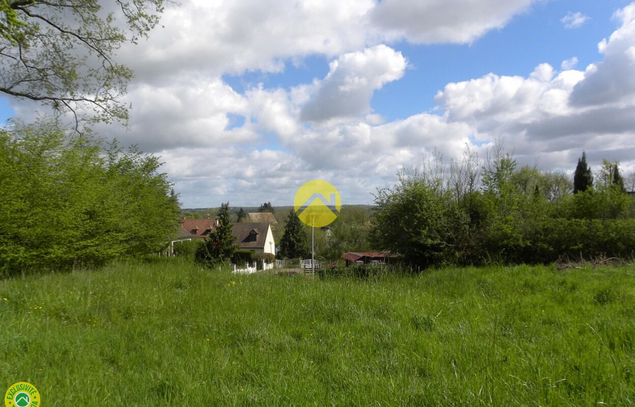 maison 1 pièces  m2 à vendre à Léré (18240)