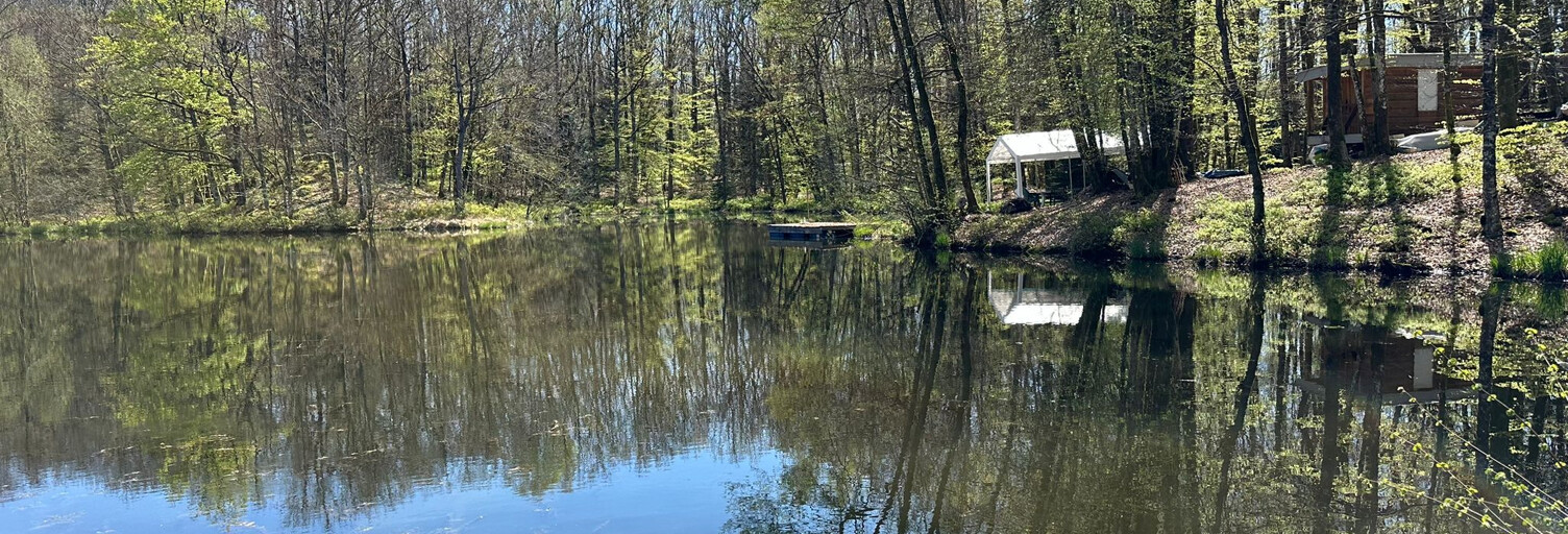 Terrain  24138 m² à vendre à Servance-Miellin (70440)