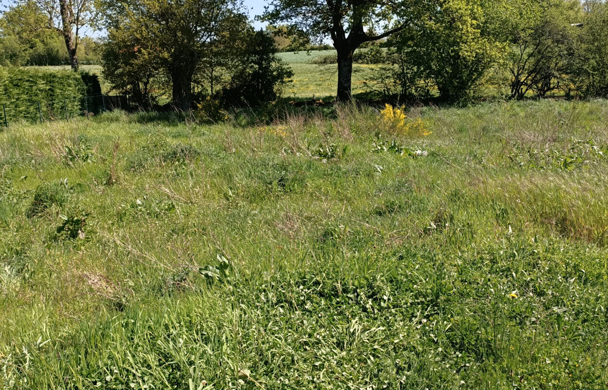 terrain  pièces 902 m2 à vendre à La Chapelle-Bertrand (79200)