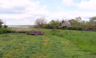 Photo N° 3