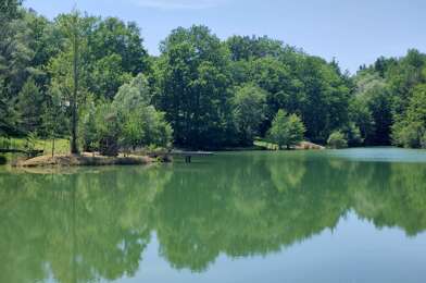 Maison 13 pièces 1325000 €