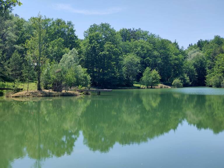 Propriété — photo 1