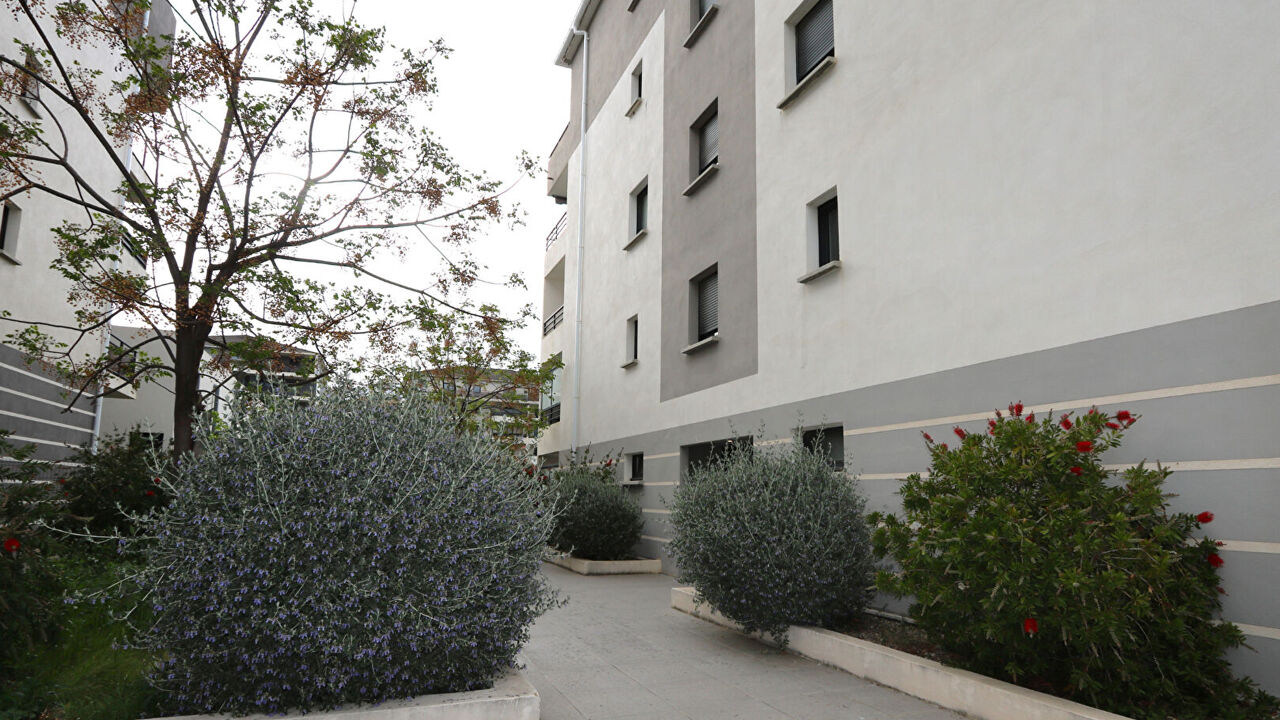 appartement 1 pièces 30 m2 à vendre à Lucciana (20290)
