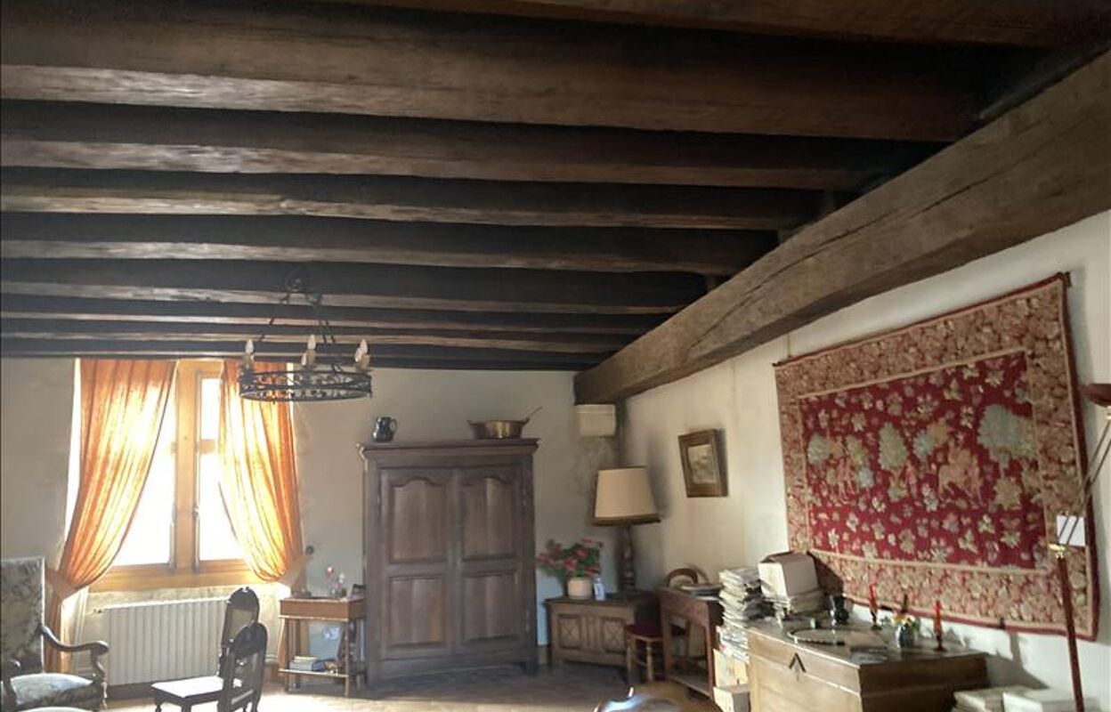 maison 16 pièces 460 m2 à vendre à Saint-Amand-Montrond (18200)