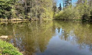 Terrain  6856 m² à vendre à Servance-Miellin (70440)