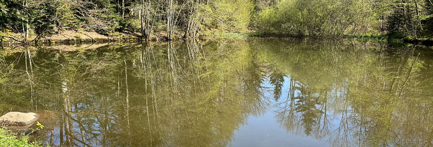 Terrain  6856 m² à vendre à Servance-Miellin (70440)