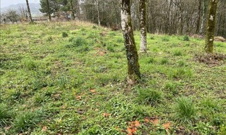 Terrain  9210 m² à vendre à Beynat (19190)