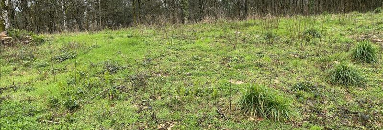 Terrain  9210 m² à vendre à Beynat (19190)