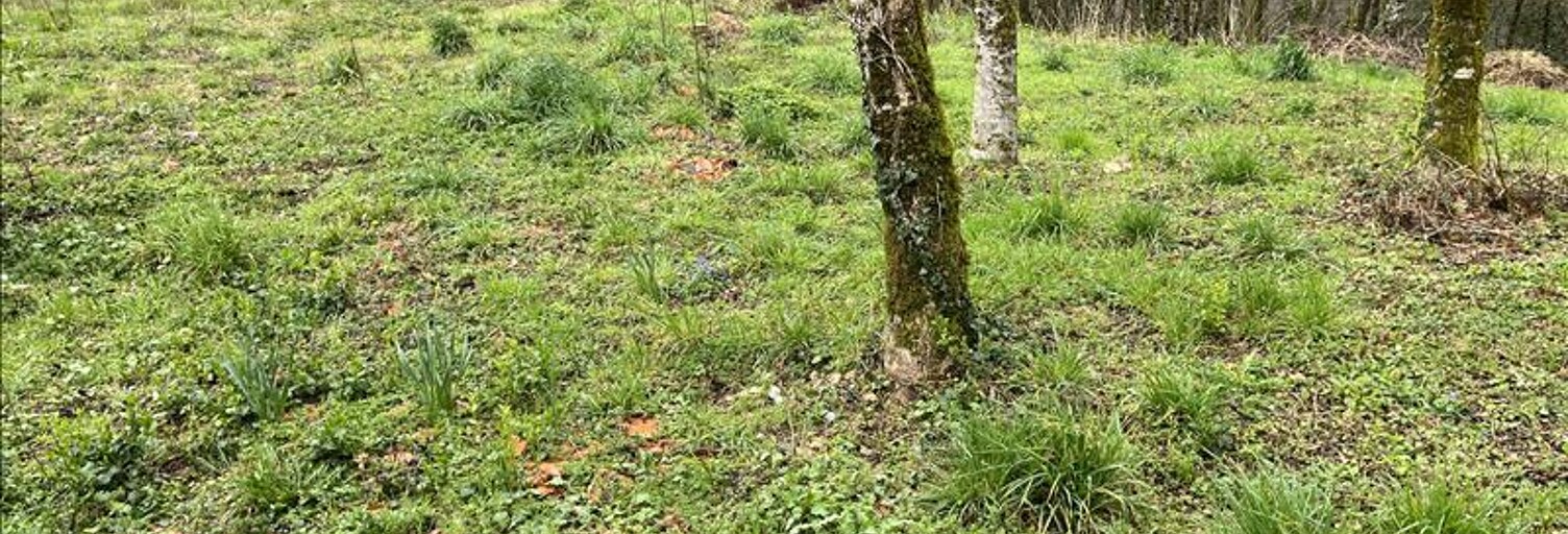 Terrain  9210 m² à vendre à Beynat (19190)