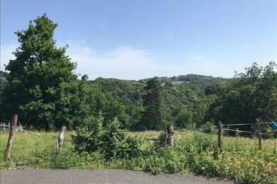Terrain  13000 €