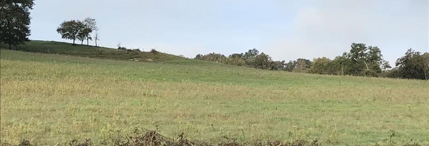 Terrain  5390 m² à vendre à Curemonte (19500)