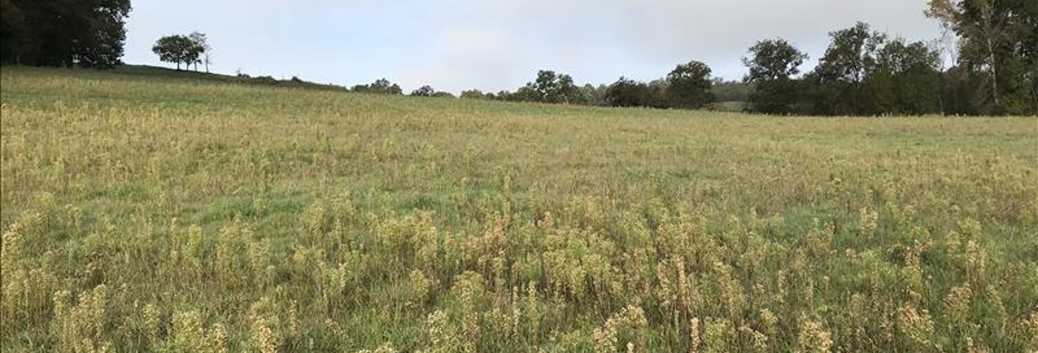 Terrain  5390 m² à vendre à Curemonte (19500)