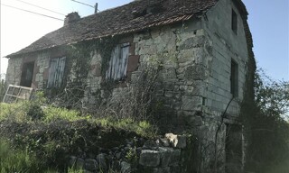 Photo N° 3