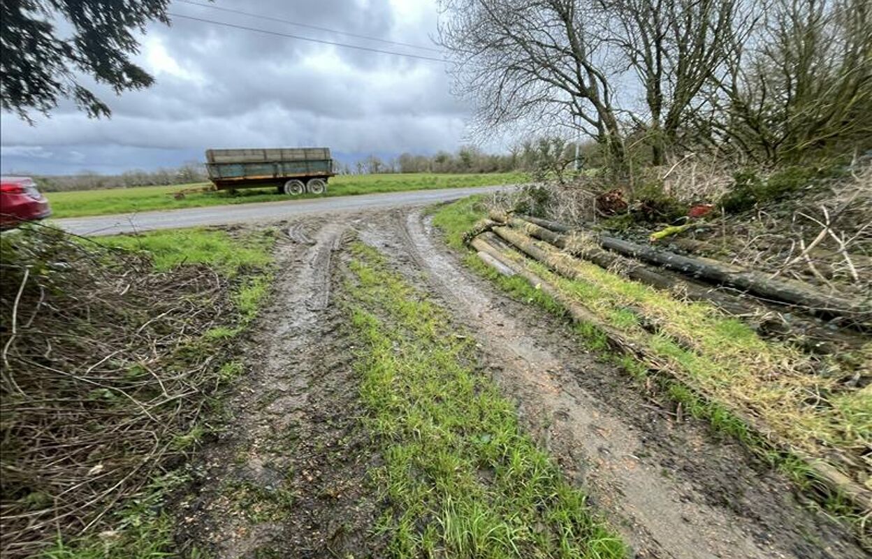 terrain  pièces 1024 m2 à vendre à Lannéanou (29640)