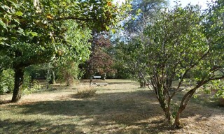 Photo N° 8