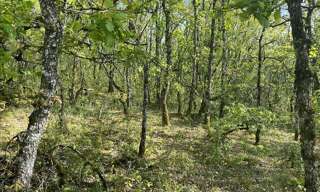 Terrain  5047 m² à vendre à Cuzance (46600)