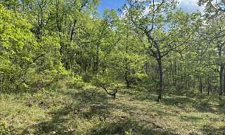 Terrain  5047 m² à vendre à Cuzance (46600)