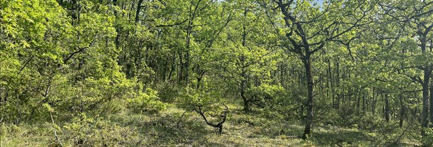 Terrain  5047 m² à vendre à Cuzance (46600)