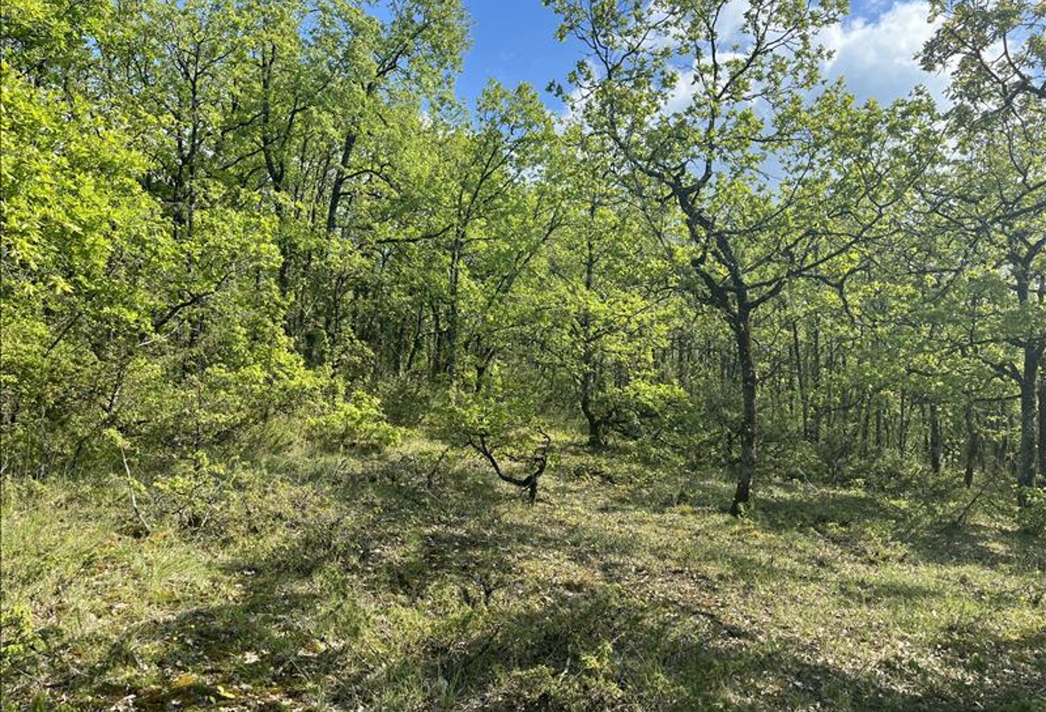 Terrain à bâtir de 0 pièces principales — photo 1
