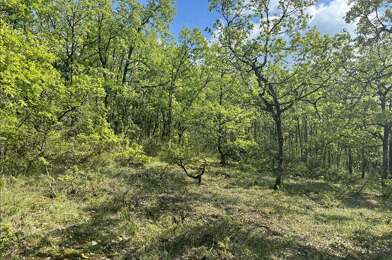 Terrain  56000 €
