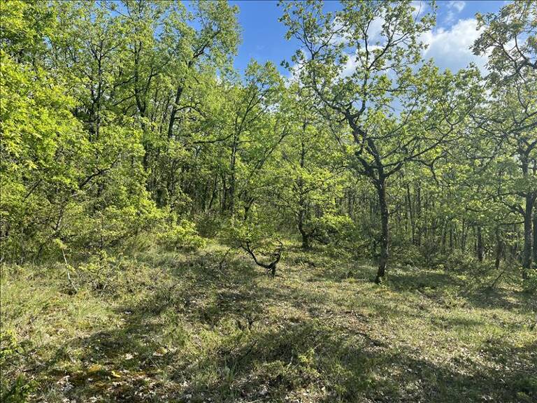 Terrain à bâtir de 0 pièces principales — photo 1
