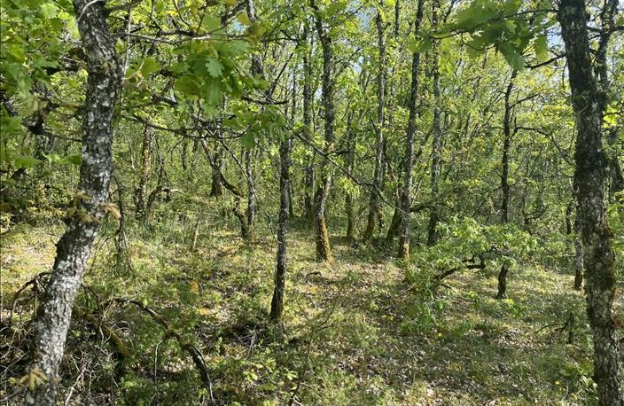 Terrain à bâtir de 0 pièces principales — photo 2