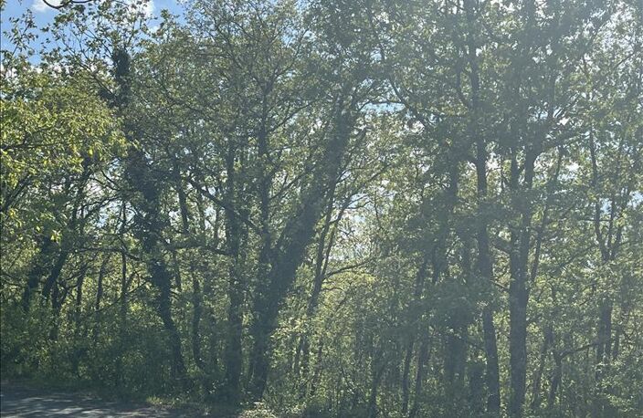 Terrain à bâtir de 0 pièces principales — photo 4