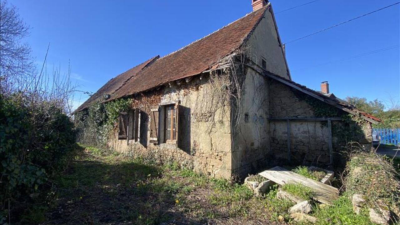 maison 1 pièces 48 m2 à vendre à Crozon-sur-Vauvre (36140)