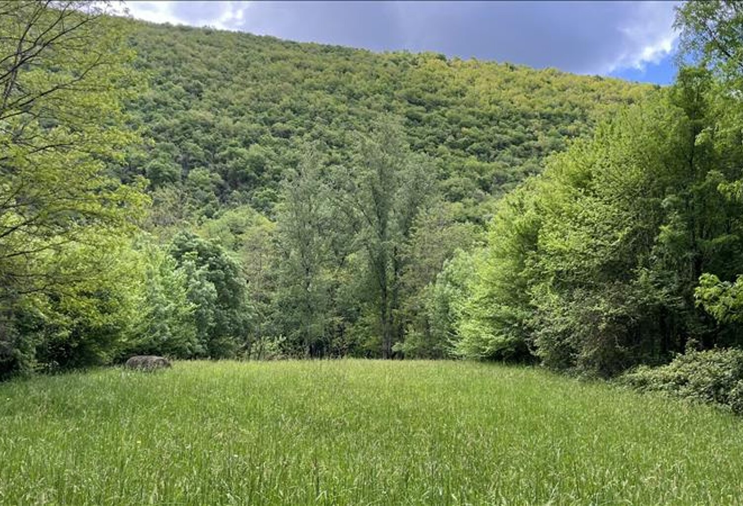 Terrain non constructible de 0 pièces principales — photo 1