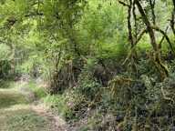 Terrain non constructible de 0 pièces principales — photo 3