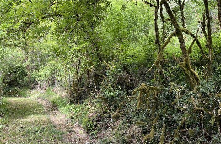 Terrain non constructible de 0 pièces principales — photo 3