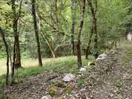 Terrain non constructible de 0 pièces principales — photo 4