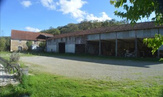 Photo N° 4